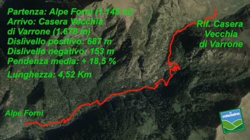 Alpe Forni - Alpe Varrone