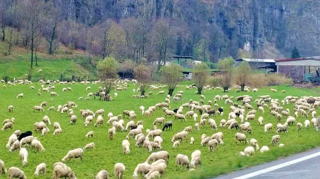 Bianco sulla piana di Balisio