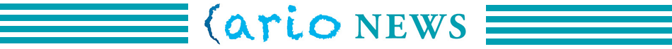 Larionews