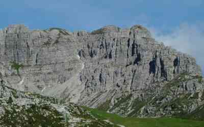 Zucco di Pesciola