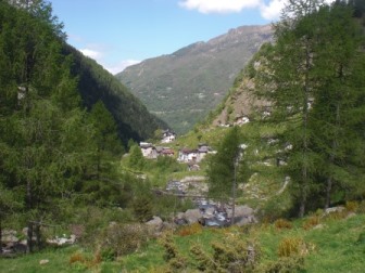 Alpe Forni
