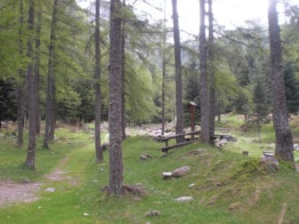 Pè D'Artiin