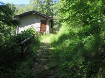 Una Casa nel Bosco, Porcile