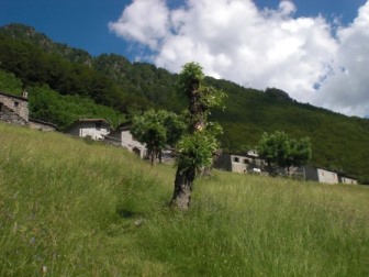 Le Baite di D'Alben