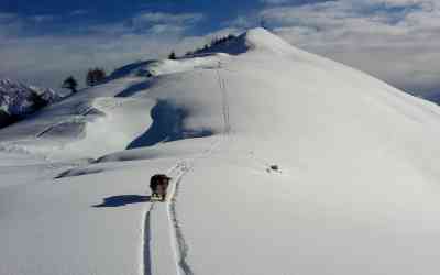 Monte Muggio