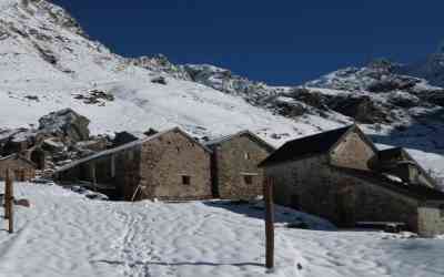 Alpe Sasso