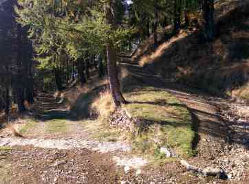 Ultimo Tornante Alpe Campo