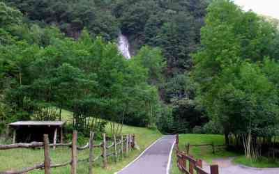 Pista ciclopedonale