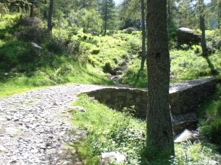 Sopra l'Alpe Vegessa