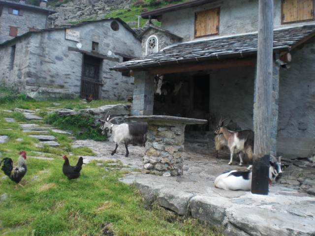 Alpe Barconcelli