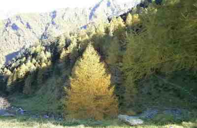 Alpe Barconcelli