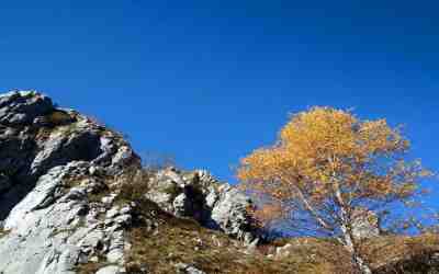 Nei Pressi del Rifugio Rosalba