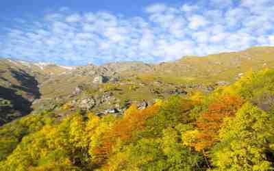 Verso Alpe Deleguaggio