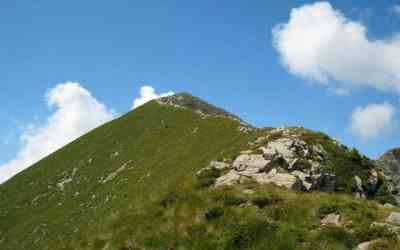 Monte Colombana