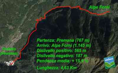 Premana - Alpe Forni