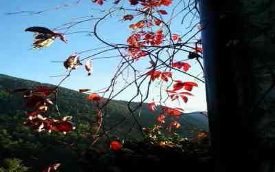 Colori d'autunno