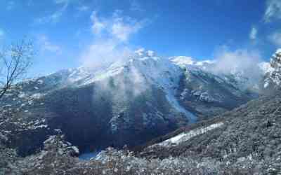 Grignetta dal Pialeral