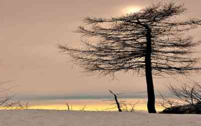 Parco Valentino al Pian dei Resinelli