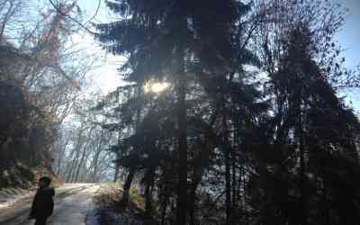 Alpe di Paglio