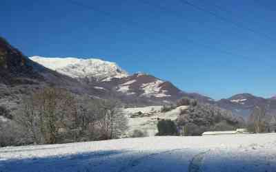 Grigna da Prato Buscante