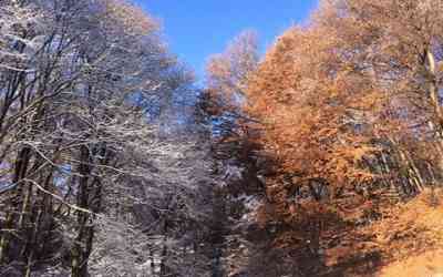 Dall'autunno all'inverno