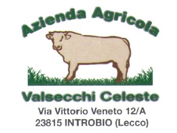Sponsor La valsassina